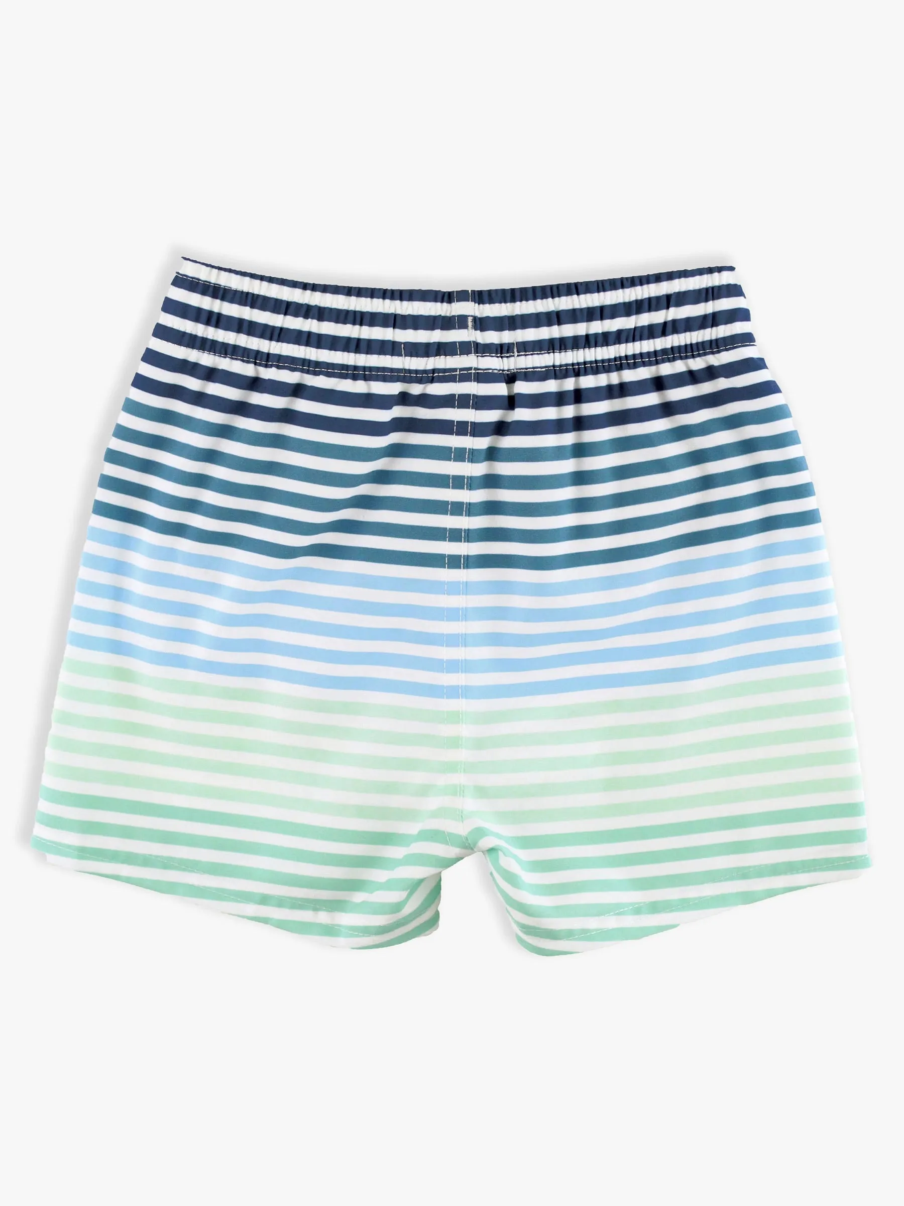 Coastal Stripes Trunks