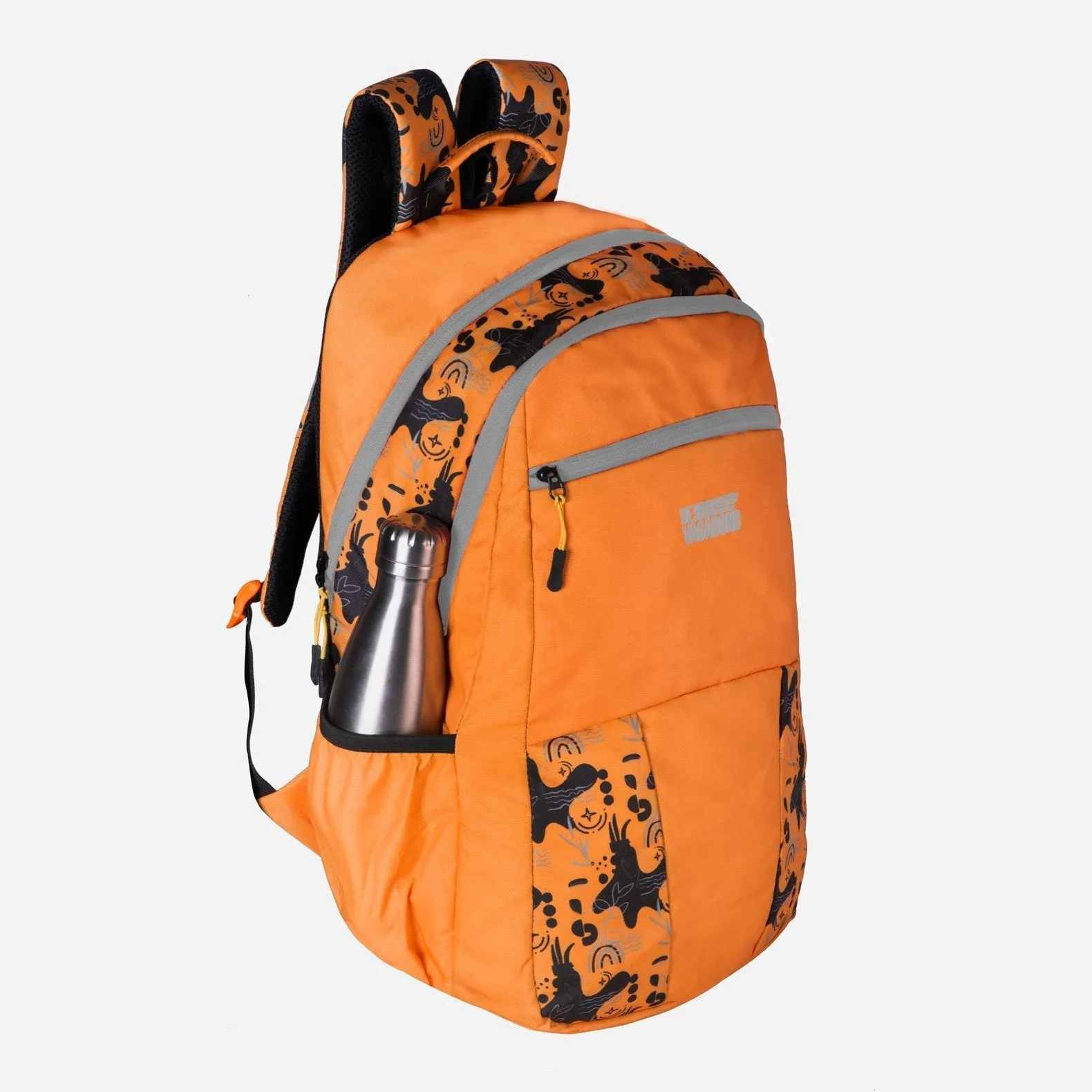 Cylas Orange