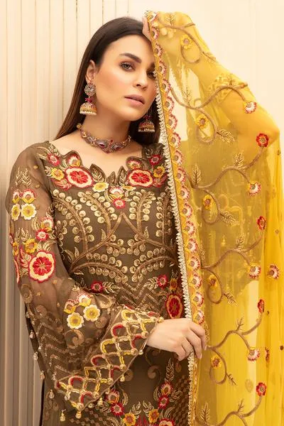 Designer Party Outfit with Embroidery #N0017