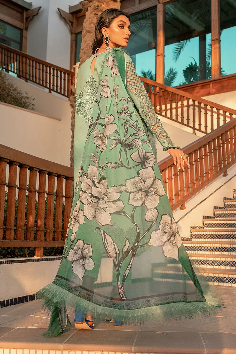 Fresh Sage | Mushq Hemline Spring/Summer Lawn Collection 2022 | Unstitched Embroidered Lawn Suits