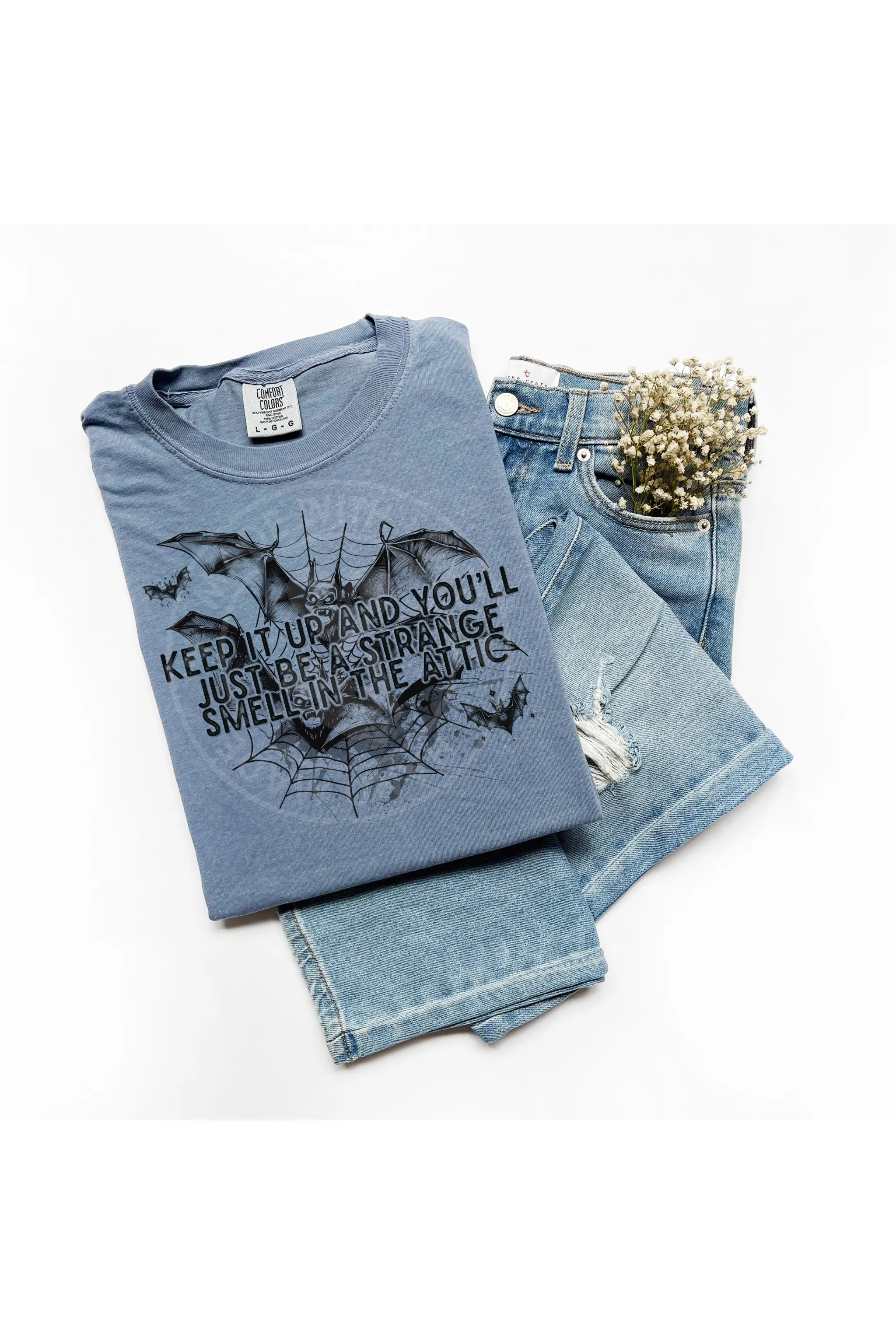 Ghostly Attic Smell Comfort Colors T-Shirt