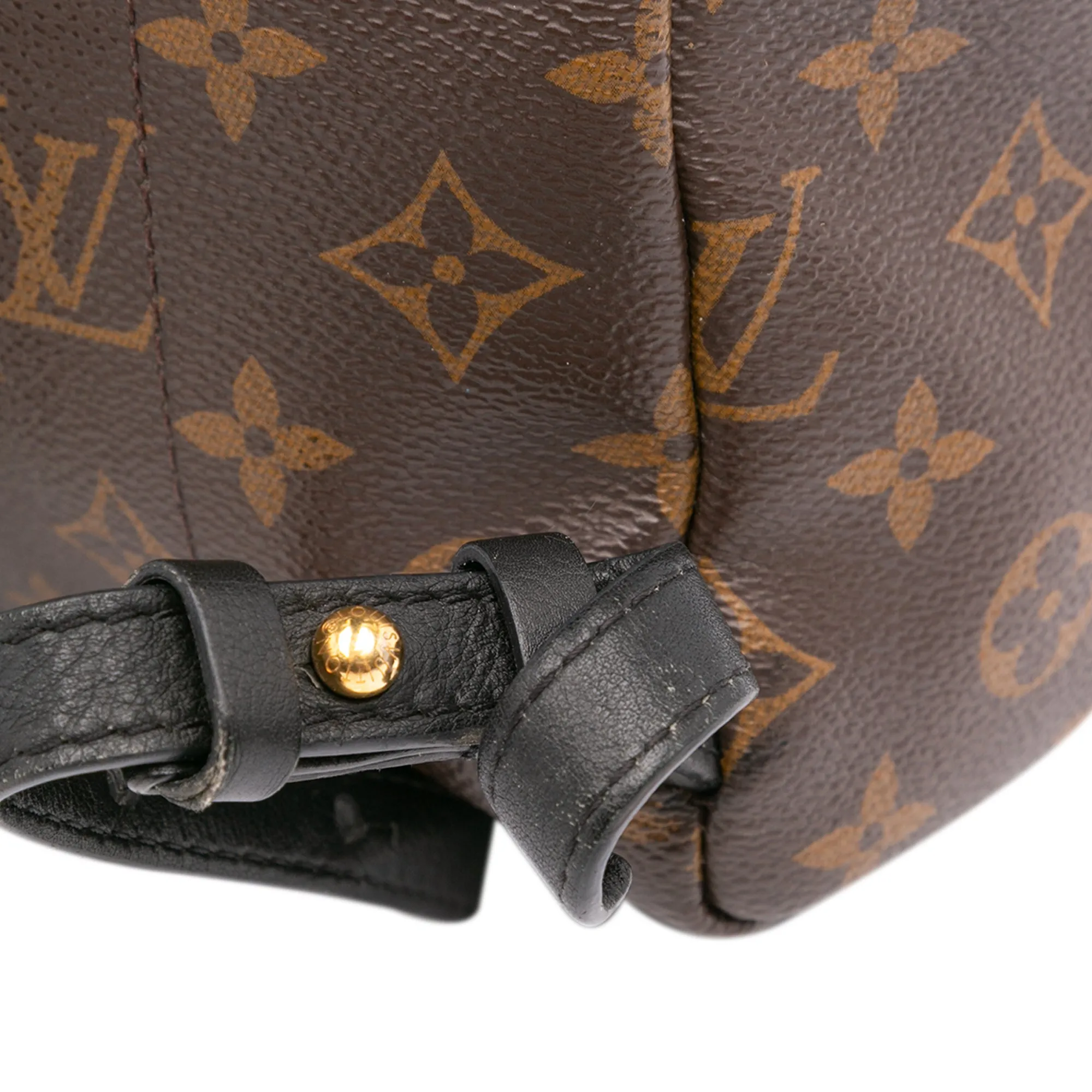 Monogram Reverse Palm Springs PM