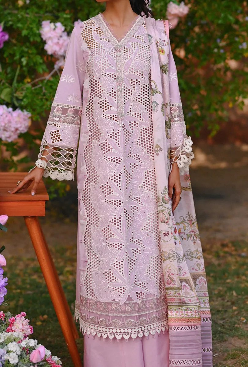 QALAMKAR | CHIKANKARI EID EDIT '23 | CF-05 NOVA