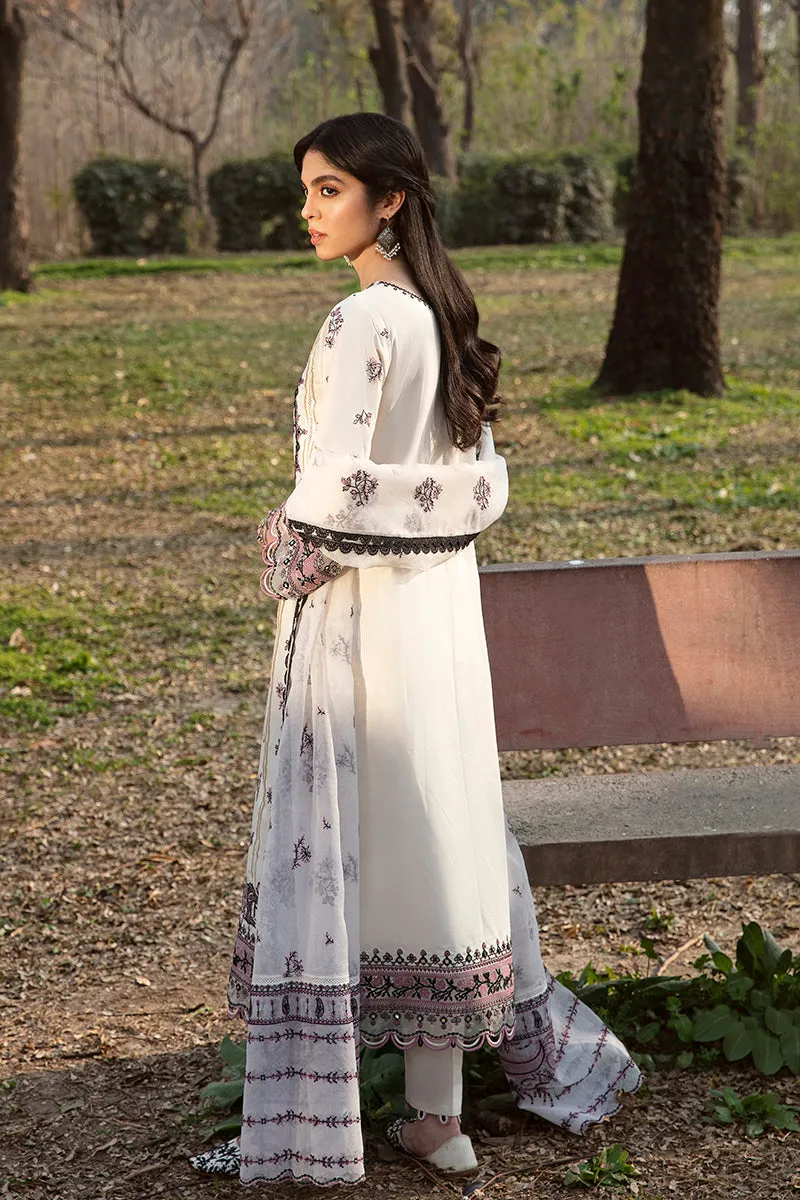 QALAMKAR | Q LINE LAWN'23 | AK-01 SIMA