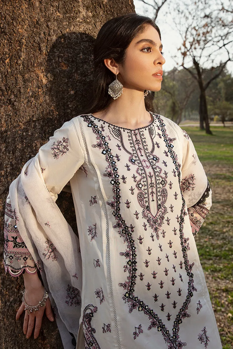 QALAMKAR | Q LINE LAWN'23 | AK-01 SIMA