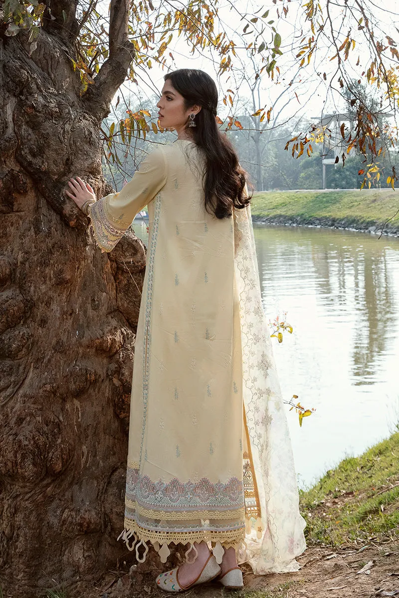 QALAMKAR | Q LINE LAWN'23 | AK-02 VIDA