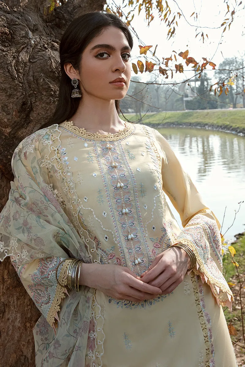 QALAMKAR | Q LINE LAWN'23 | AK-02 VIDA