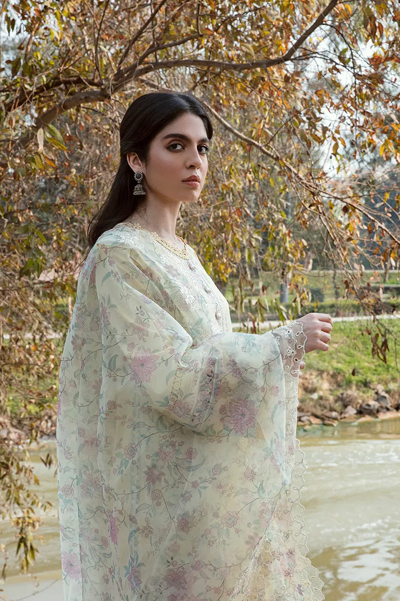 QALAMKAR | Q LINE LAWN'23 | AK-02 VIDA