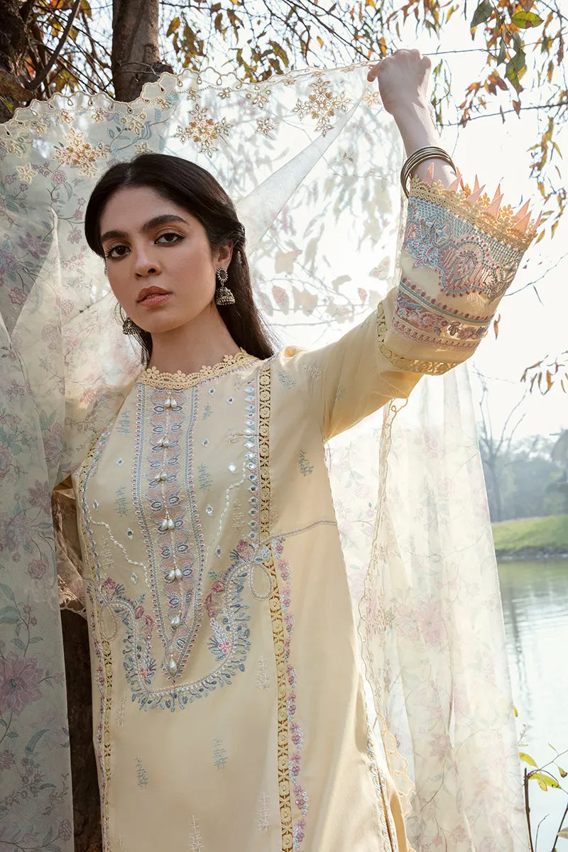 QALAMKAR | Q LINE LAWN'23 | AK-02 VIDA