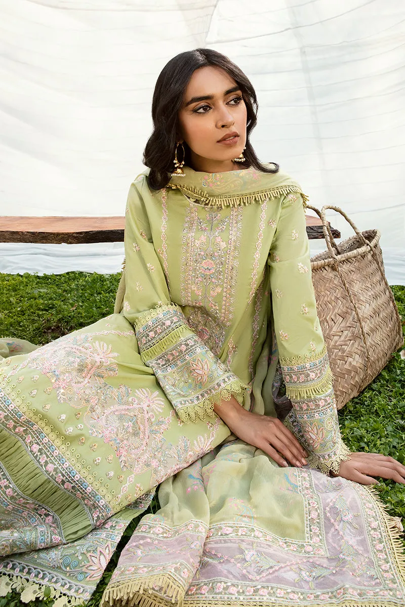 QALAMKAR | Q LINE LAWN'23 | AK-03 RAISA