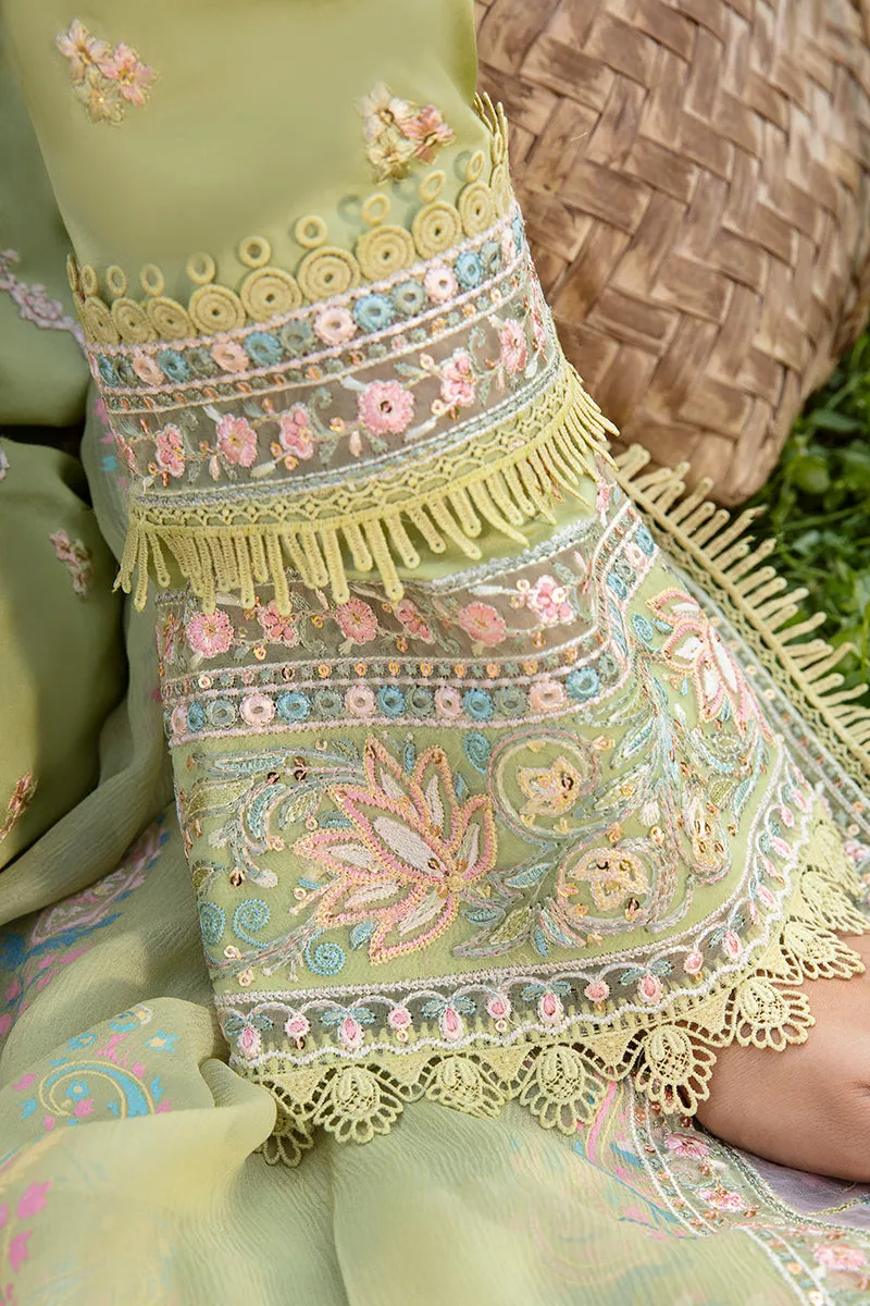 QALAMKAR | Q LINE LAWN'23 | AK-03 RAISA