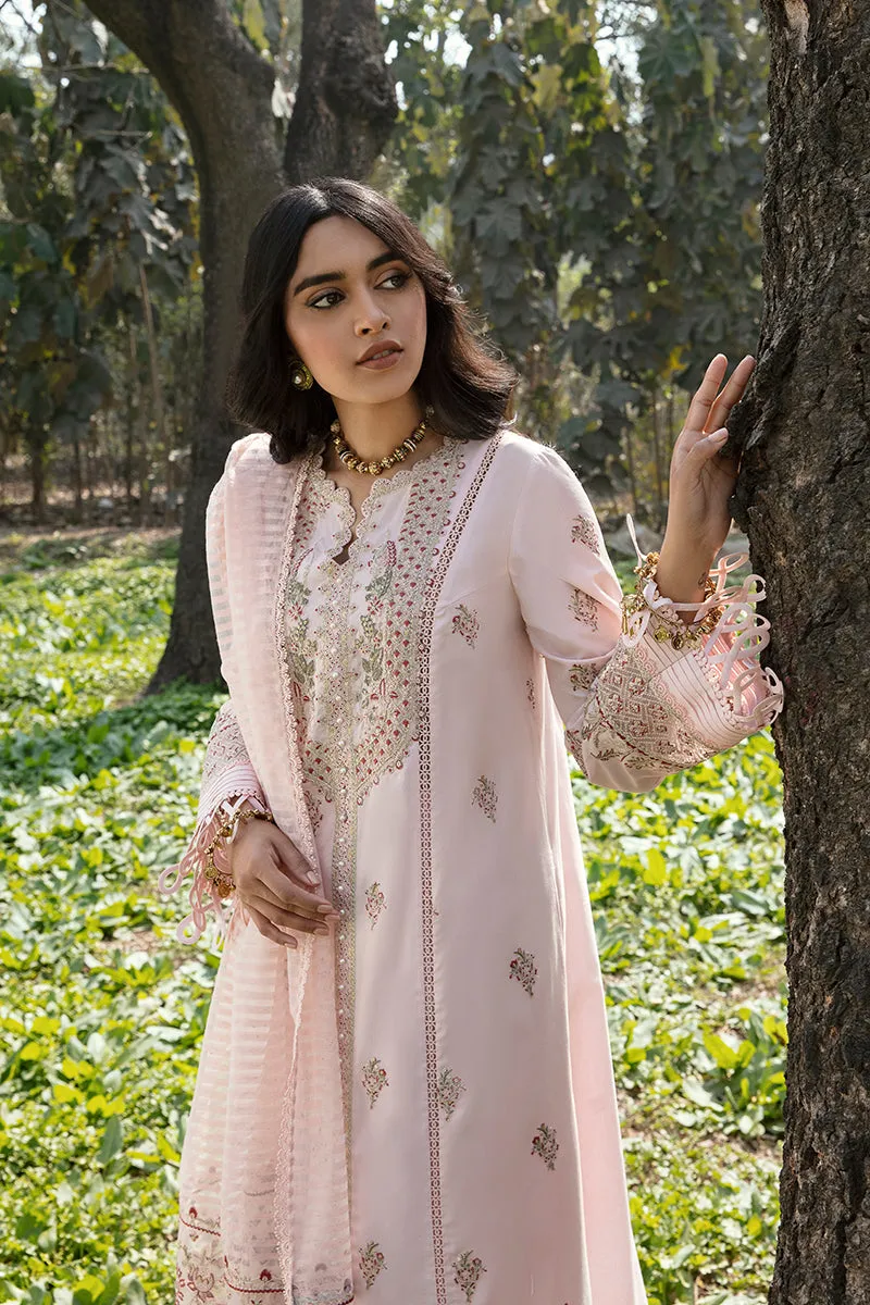 QALAMKAR | Q LINE LAWN'23 | AK-04 VANNA