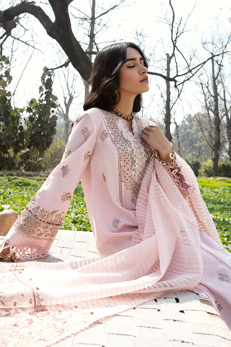 QALAMKAR | Q LINE LAWN'23 | AK-04 VANNA