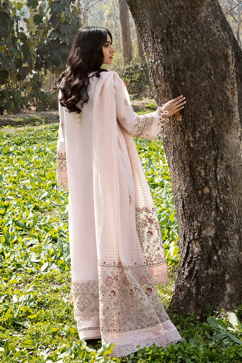 QALAMKAR | Q LINE LAWN'23 | AK-04 VANNA