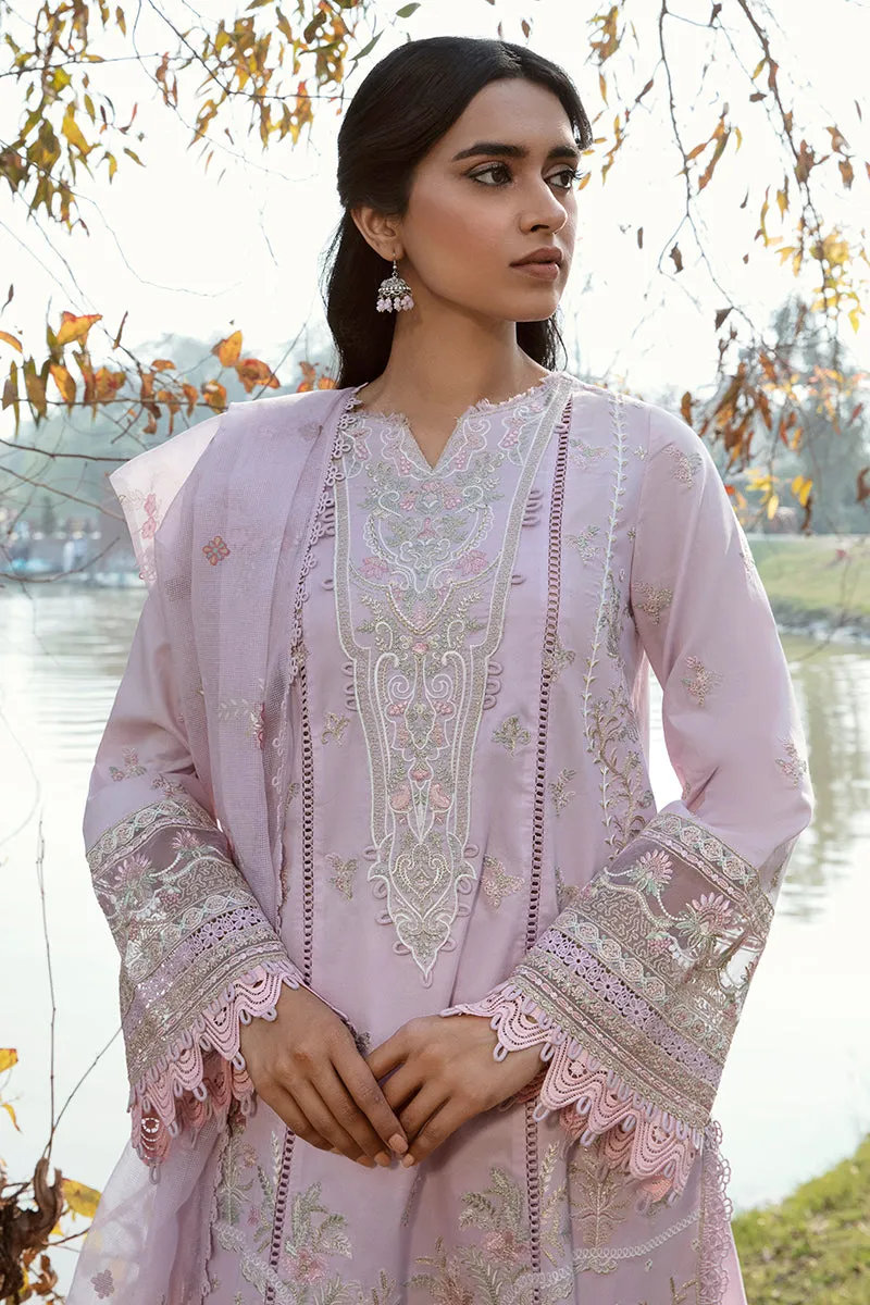 QALAMKAR | Q LINE LAWN'23 | AK-08 SIBEL