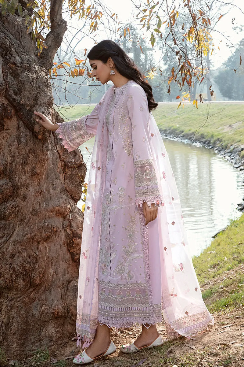 QALAMKAR | Q LINE LAWN'23 | AK-08 SIBEL