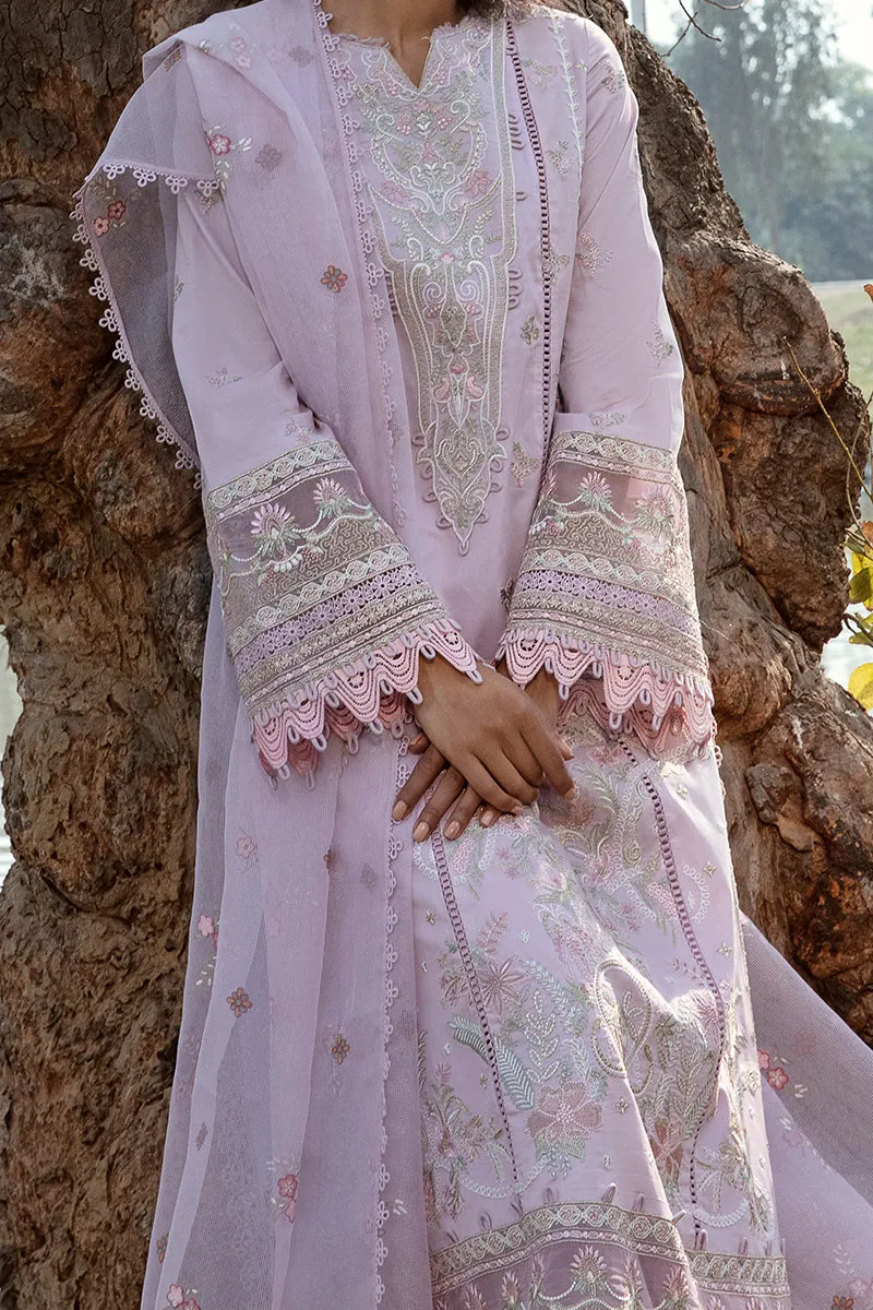 QALAMKAR | Q LINE LAWN'23 | AK-08 SIBEL