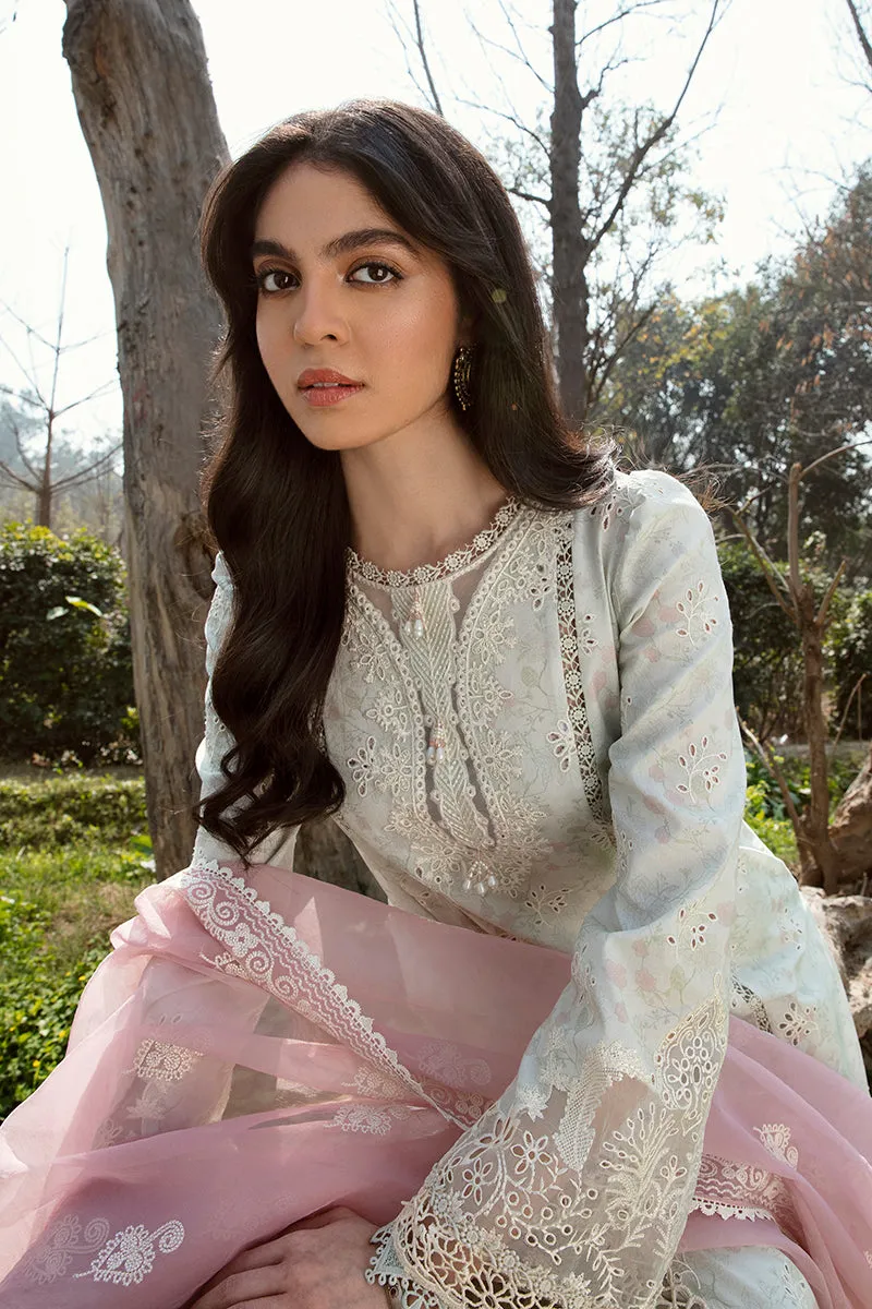 QALAMKAR | Q LINE LAWN'23 | AK-12 GIZA