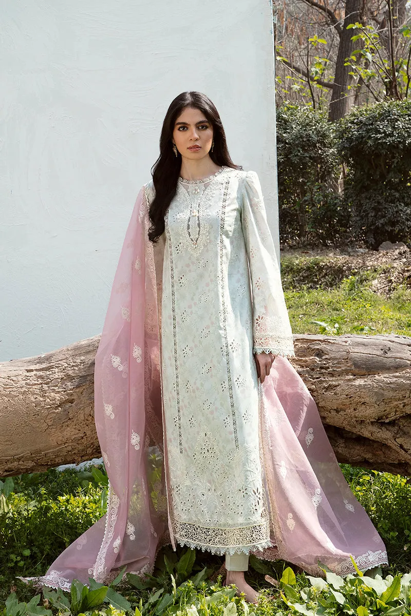 QALAMKAR | Q LINE LAWN'23 | AK-12 GIZA
