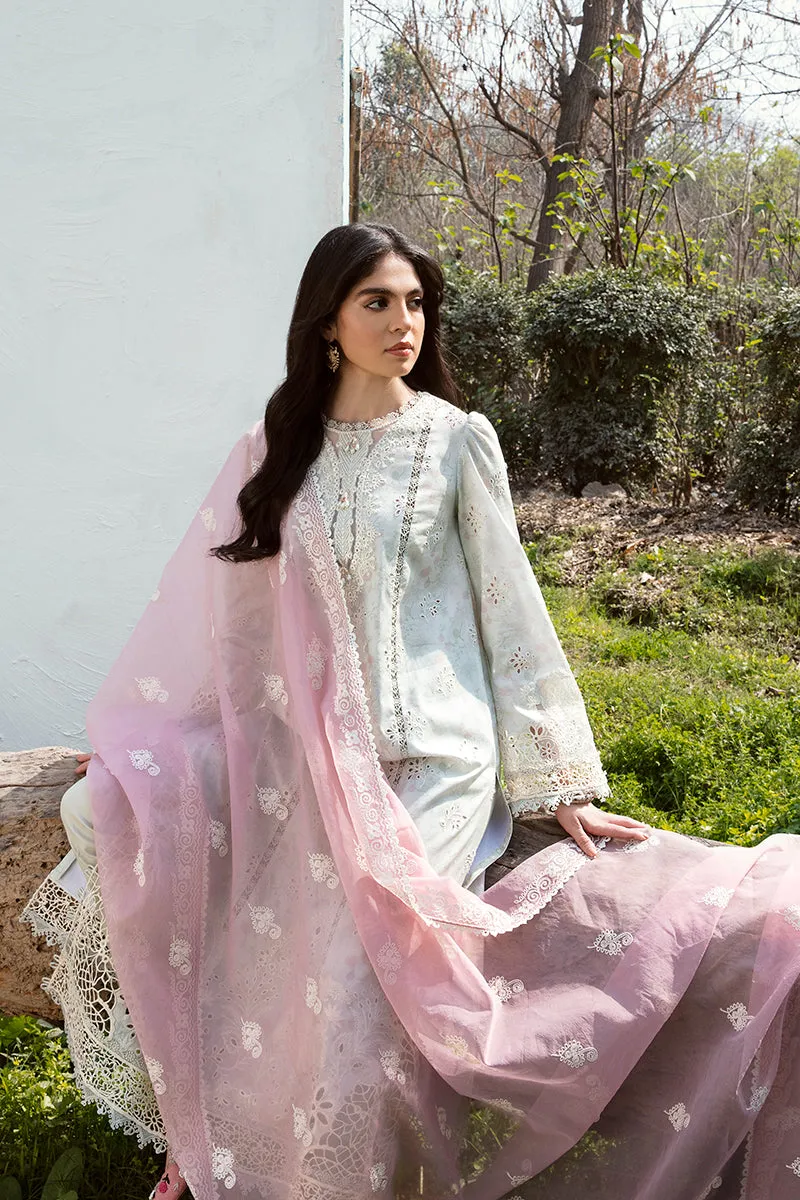 QALAMKAR | Q LINE LAWN'23 | AK-12 GIZA