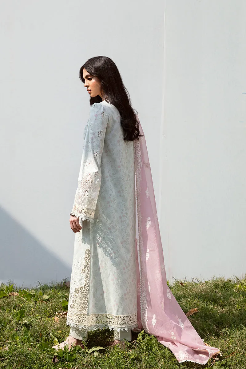 QALAMKAR | Q LINE LAWN'23 | AK-12 GIZA