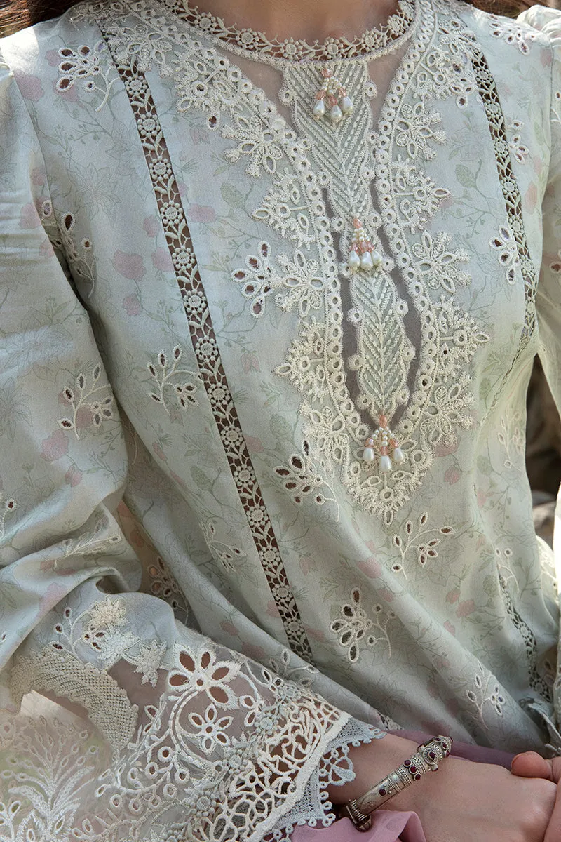 QALAMKAR | Q LINE LAWN'23 | AK-12 GIZA