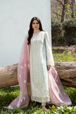 QALAMKAR | Q LINE LAWN'23 | AK-12 GIZA