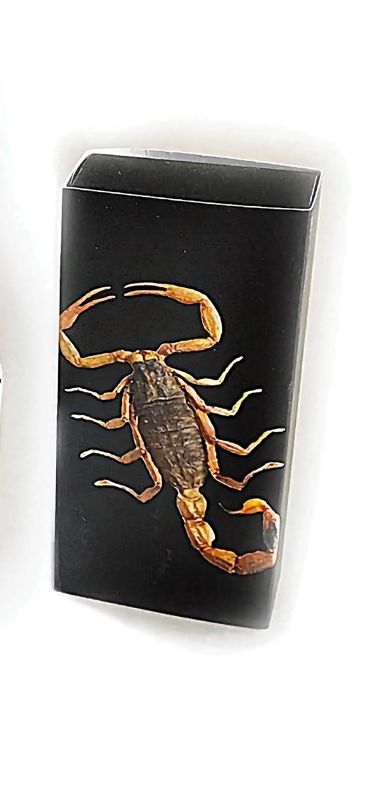 Real Black Scorpion Bracelet Glow In The Dark Diamond Shape Real Nature Gift