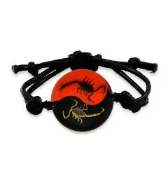 Real Scorpion Yin-Yang Bracelet Real Nature Gift Jewelry With Box