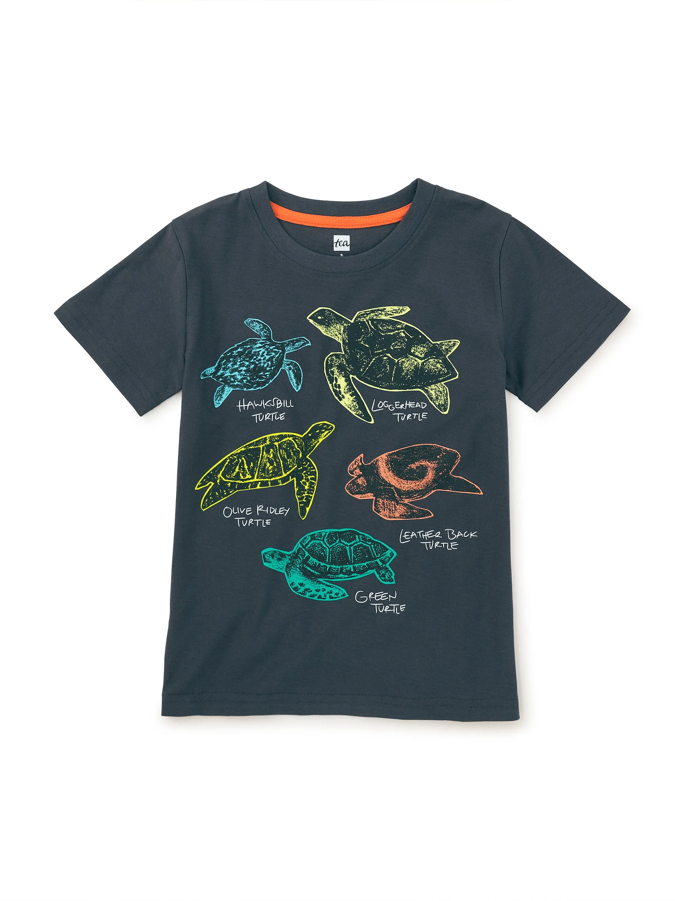 Tea Turtle Discovery Graphic Tee
